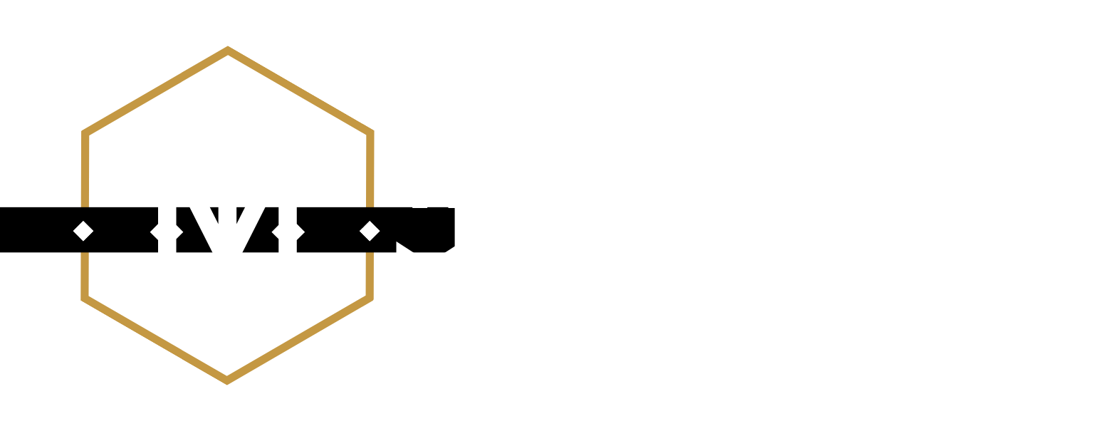 Tegra Motors